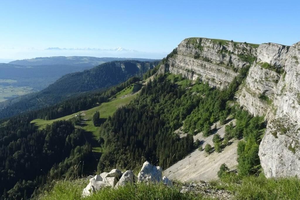 Studio « Le Petit Montagnard » Мальбюїссон Екстер'єр фото