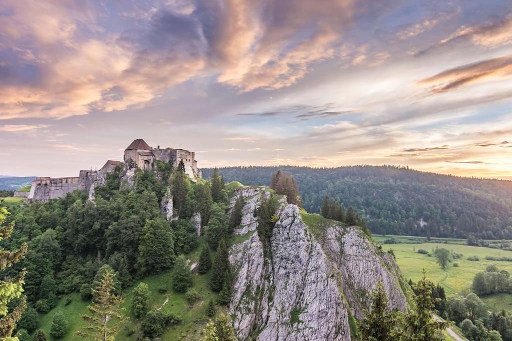 Studio « Le Petit Montagnard » Мальбюїссон Екстер'єр фото